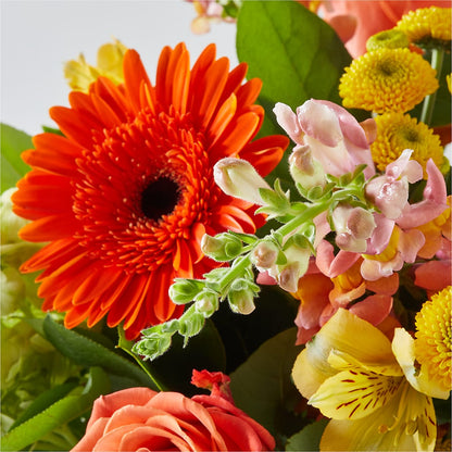 Autumn Sunshine Bouquet –  North Shore Florist, North Vancouver BC