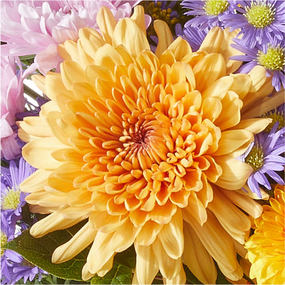 Countryside Bouquet –  North Shore Florist, North Vancouver BC