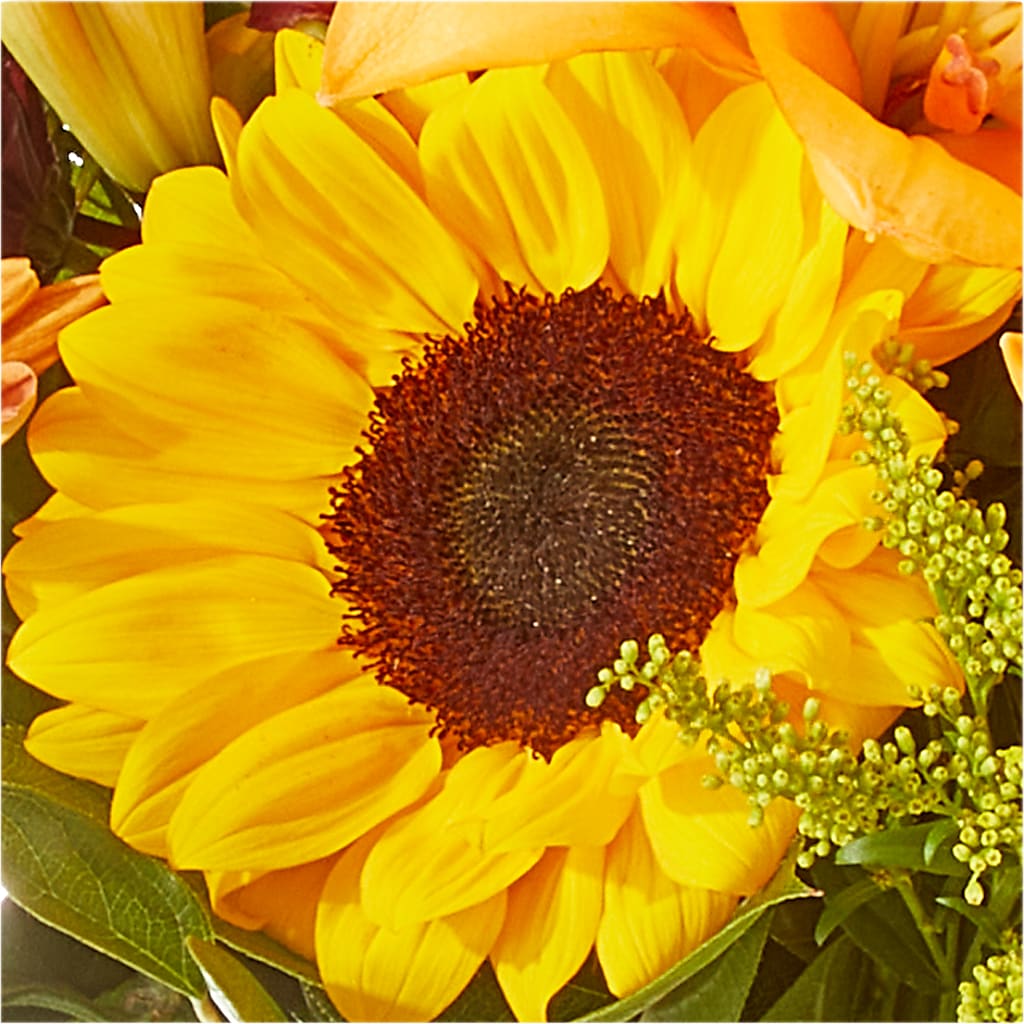 Seasons Change Bouquet –  North Shore Florist, North Vancouver BC