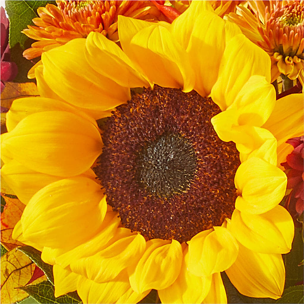 Sunny Side Bouquet –  North Shore Florist, North Vancouver BC