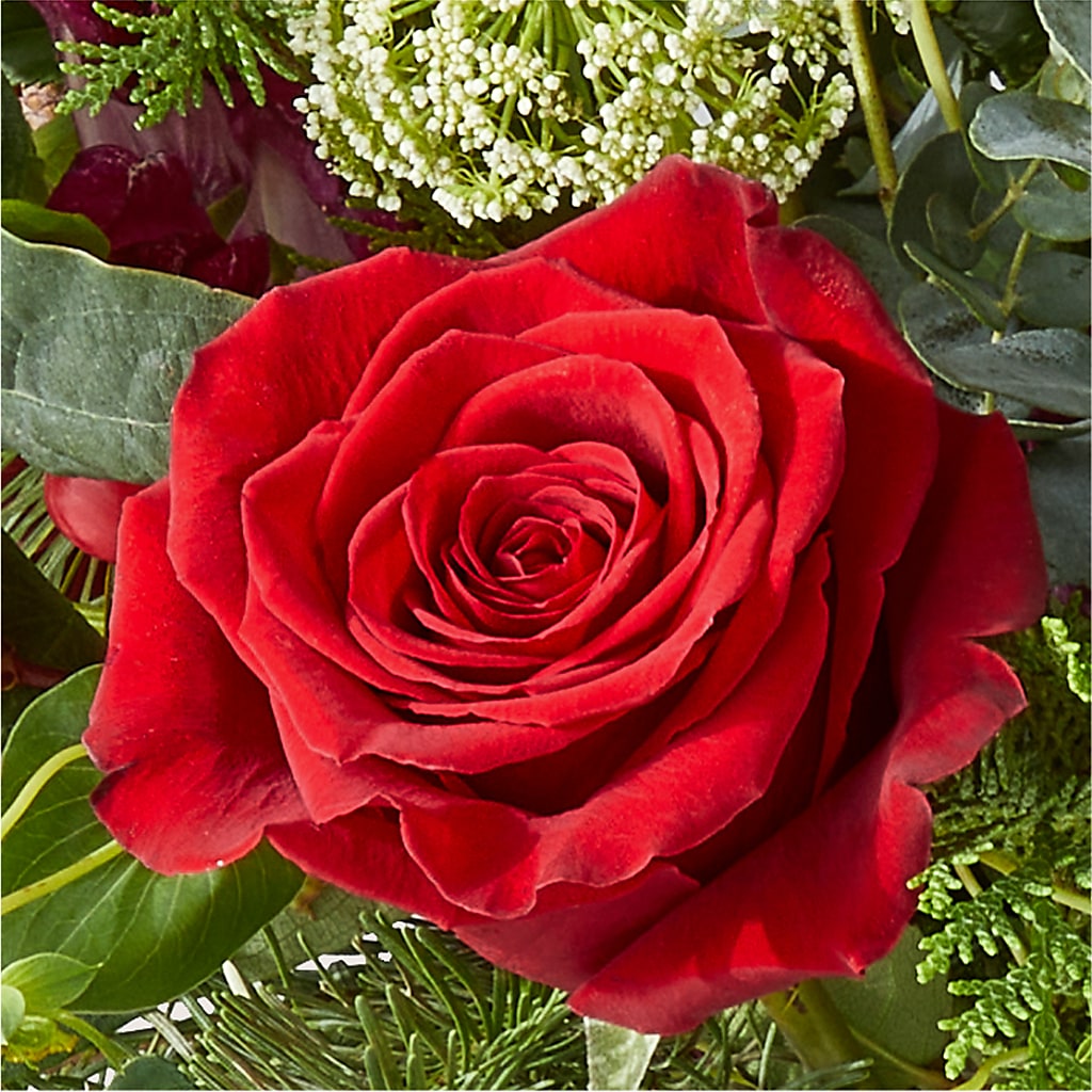 Cranberry Fizz Bouquet –  North Shore Florist, North Vancouver BC