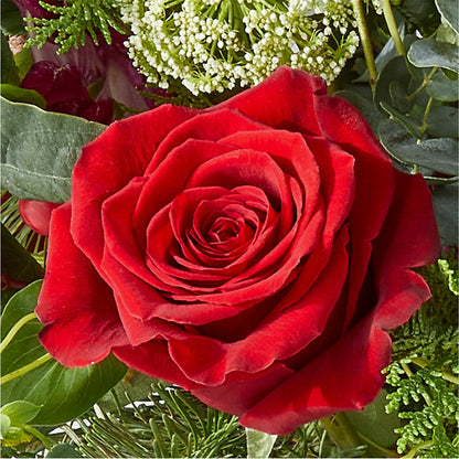 Cranberry Fizz Bouquet –  North Shore Florist, North Vancouver BC