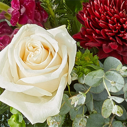 Cranberry Fizz Bouquet –  North Shore Florist, North Vancouver BC