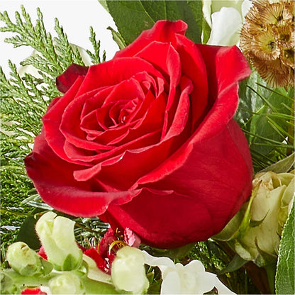 Deck the Halls Bouquet –  North Shore Florist, North Vancouver BC