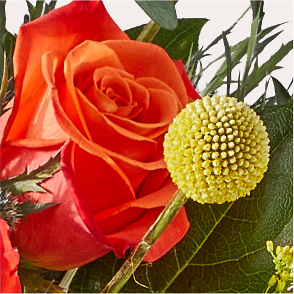 Disco Bouquet –  North Shore Florist, North Vancouver BC