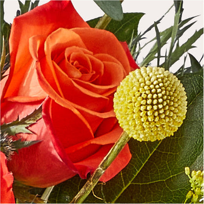 Disco Bouquet –  North Shore Florist, North Vancouver BC
