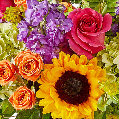Vibrant Greetings Bouquet –  North Shore Florist, North Vancouver BC