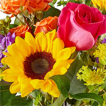Vibrant Greetings Bouquet –  North Shore Florist, North Vancouver BC