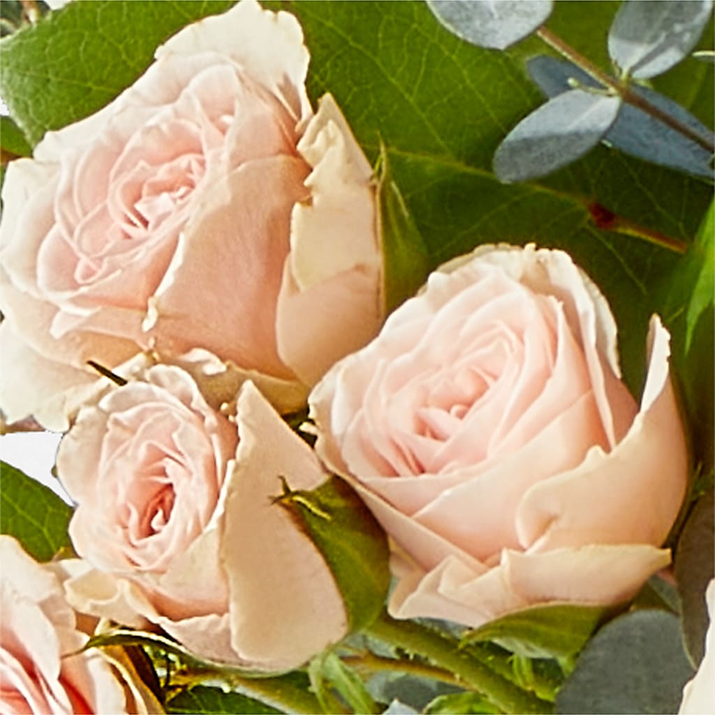 Inspired Bouquet –  North Shore Florist, North Vancouver BC