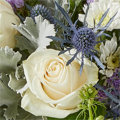 Shooting Star Bouquet –  North Shore Florist, North Vancouver BC