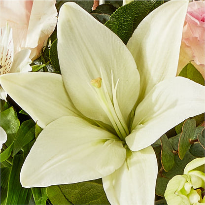 Ballet Slippers Bouquet –  North Shore Florist, North Vancouver BC