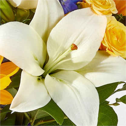 Wonderfully Sunny Bouquet –  North Shore Florist, North Vancouver BC