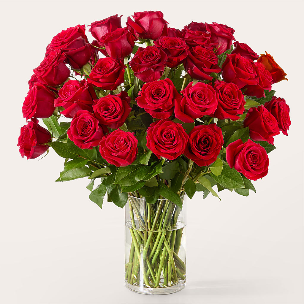 The One Red Rose Bouquet –  North Shore Florist, North Vancouver BC