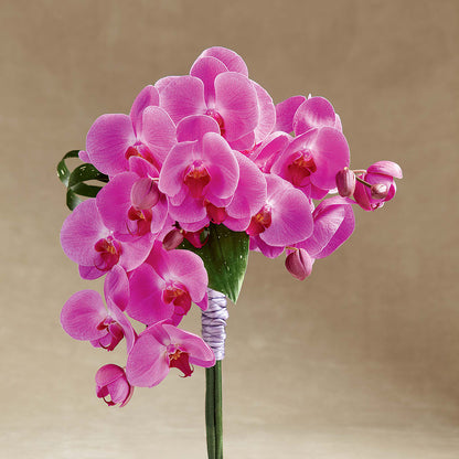 Glorious Bouquet –  North Shore Florist, North Vancouver BC