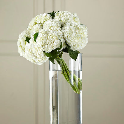 White Hydrangea Hand-Tied Bouquet –  North Shore Florist, North Vancouver BC