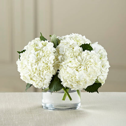 White Hydrangea Bouquet –  North Shore Florist, North Vancouver BC